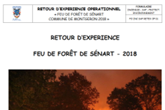 SDIS91-FDF en forêt domaniale de Sénart