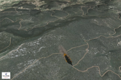 Feu en pente ascendante