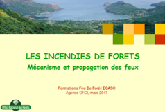 Mécanisme et propagation des feux