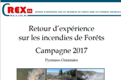 SDIS66-Bilan REX SDIS66 2017