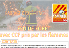 SDIS66-CCF pris par les flammes