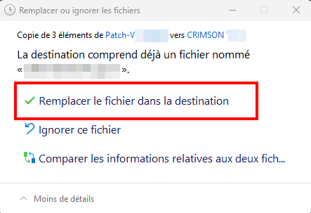 Illustration fenêtre remplacement de fichiers