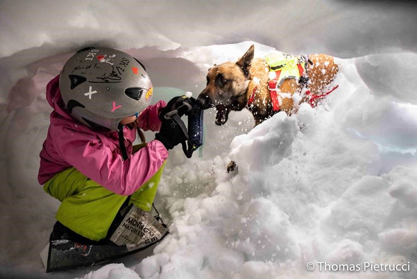 ESP 09 - Équipage cynotechnique